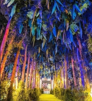 Vật Tư Trang Trí Hoa